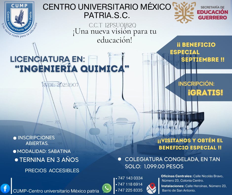 Ingeniería química